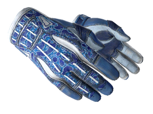 Sport Gloves Amphibious