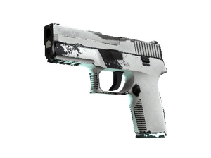 P250 Whiteout