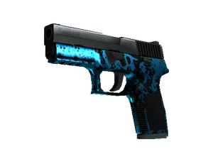 P250 Undertow