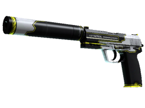 USP-S Torque