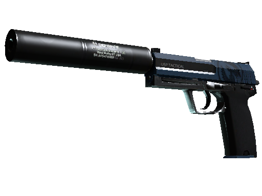 USP-S | Guardian