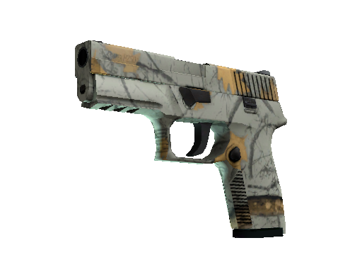 P250 | Modern Hunter