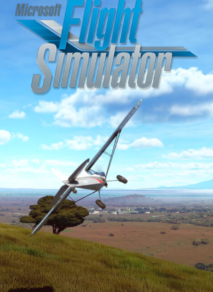 Microsoft Flight Simulator 40th Anniversary Edition