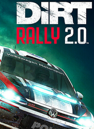 DIRT RALLY